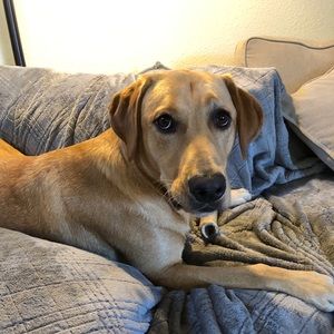 Meet your Posher, Kaitlin